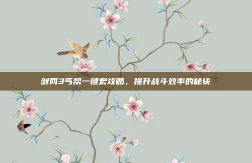 剑网3丐帮一键宏攻略，提升战斗效率的秘诀