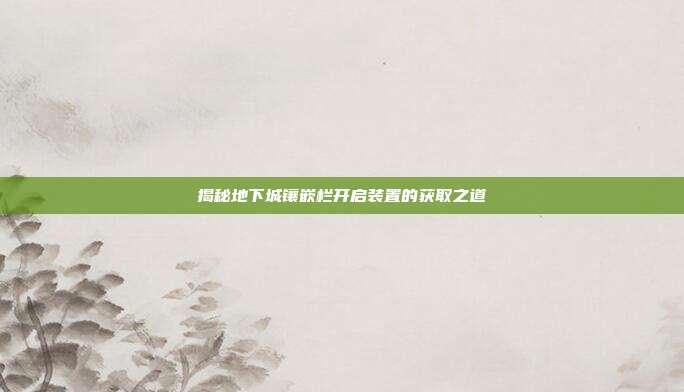 揭秘地下城镶嵌栏开启装置的获取之道