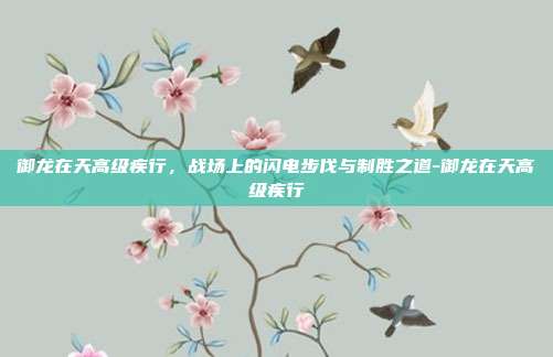 御龙在天高级疾行，战场上的闪电步伐与制胜之道-御龙在天高级疾行