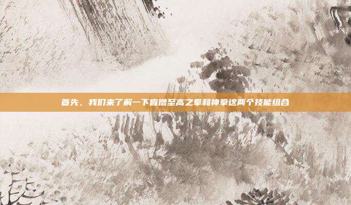 首先，我们来了解一下盲僧至高之拳和神拳这两个技能组合