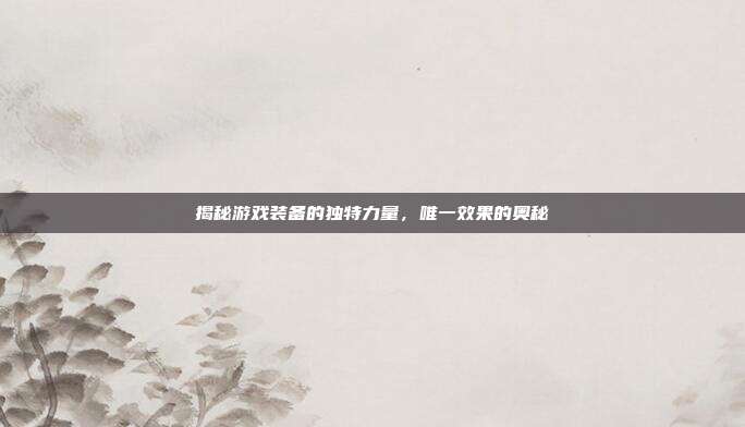 揭秘游戏装备的独特力量，唯一效果的奥秘