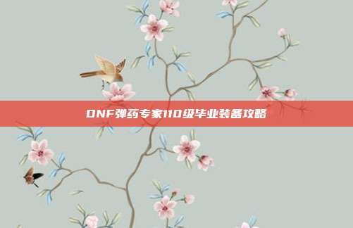DNF弹药专家110级毕业装备攻略