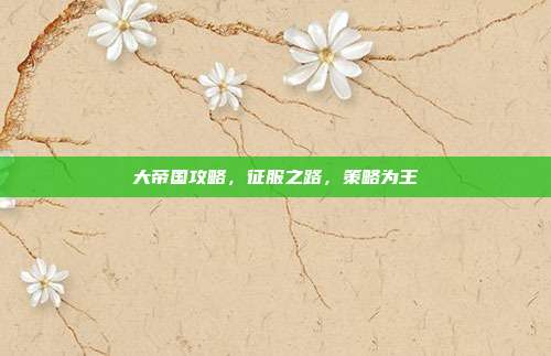 大帝国攻略，征服之路，策略为王