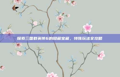 探索三国群英传6的隐藏宝藏，特殊玩法全攻略