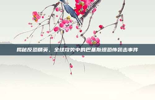 揭秘反恐精英，全球攻势中的巴基斯坦恐怖袭击事件