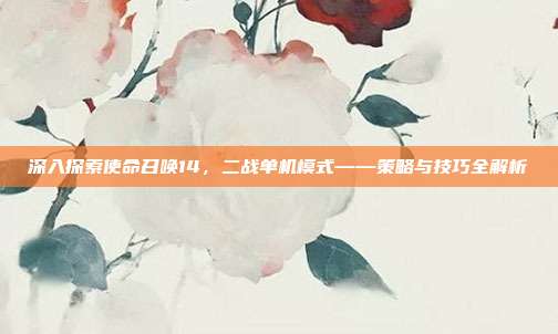 深入探索使命召唤14，二战单机模式——策略与技巧全解析