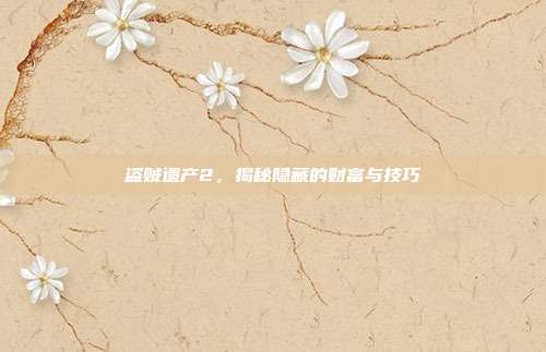 盗贼遗产2，揭秘隐藏的财富与技巧