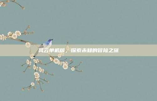 风云单机版,探索未知的冒险之旅