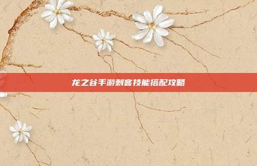 龙之谷手游刺客技能搭配攻略