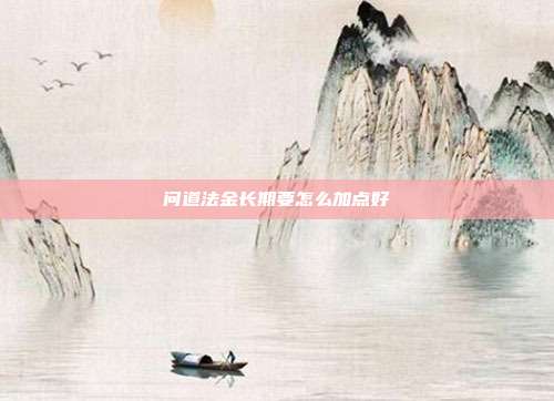 问道法金长期要怎么加点好