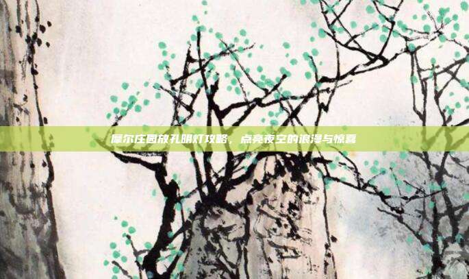 摩尔庄园放孔明灯攻略，点亮夜空的浪漫与惊喜