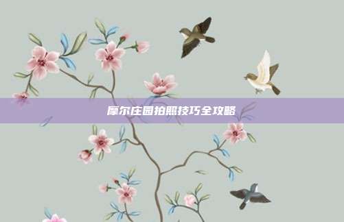 摩尔庄园拍照技巧全攻略