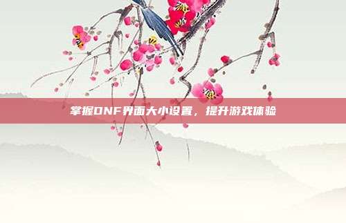 掌握DNF界面大小设置，提升游戏体验