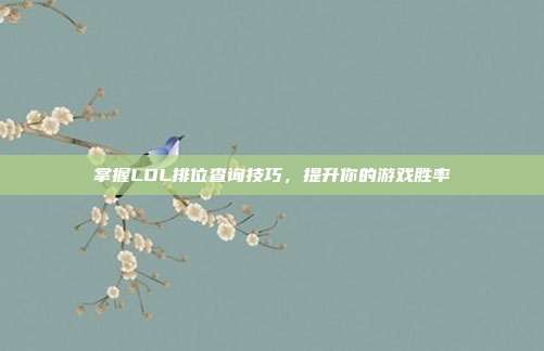 掌握LOL排位查询技巧，提升你的游戏胜率