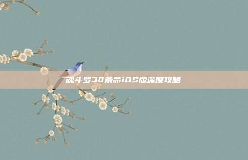 魂斗罗30条命iOS版深度攻略
