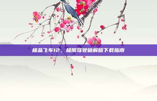 极品飞车12，极限驾驶破解版下载指南