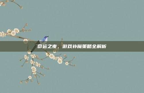 命运之夜，游戏补魔策略全解析