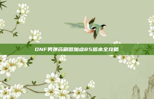 DNF男弹药刷图加点85版本全攻略