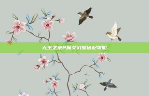 无主之地2魔女武器搭配攻略