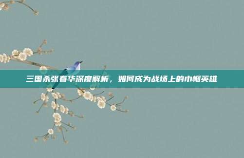 三国杀张春华深度解析,如何成为战场上的巾帼英雄
