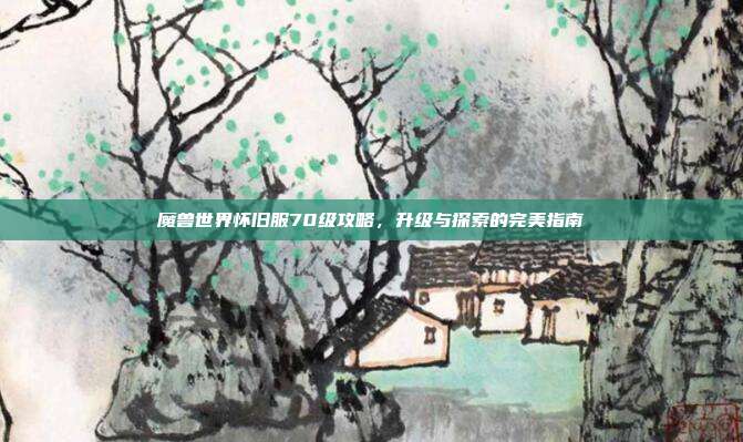 魔兽世界怀旧服70级攻略，升级与探索的完美指南