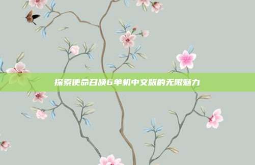 探索使命召唤6单机中文版的无限魅力