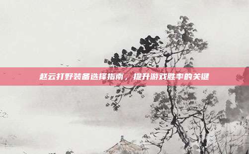 赵云打野装备选择指南，提升游戏胜率的关键