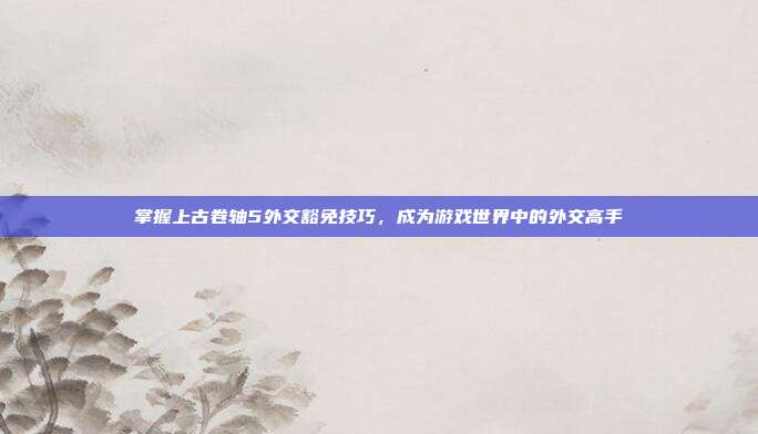 掌握上古卷轴5外交豁免技巧，成为游戏世界中的外交高手