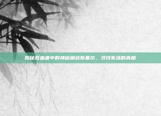 揭秘觅血者中的神秘角色斯基尔，寻找失落的真相