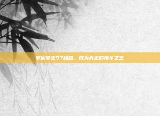 掌握拳王97秘籍,成为真正的格斗之王
