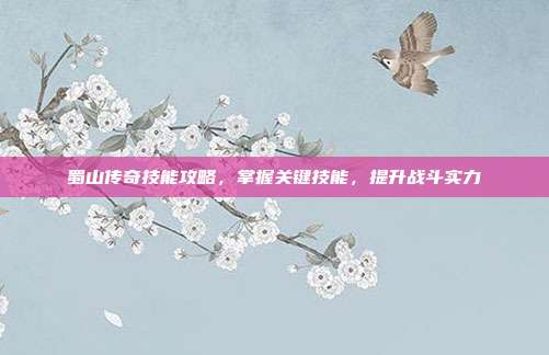 蜀山传奇技能攻略，掌握关键技能，提升战斗实力