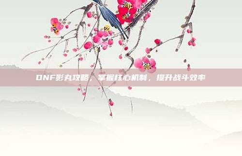 DNF影丸攻略，掌握核心机制，提升战斗效率