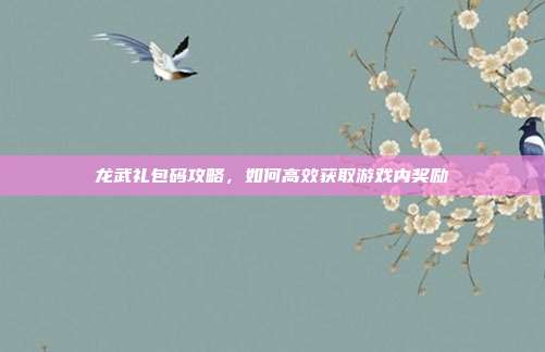 龙武礼包码攻略，如何高效获取游戏内奖励