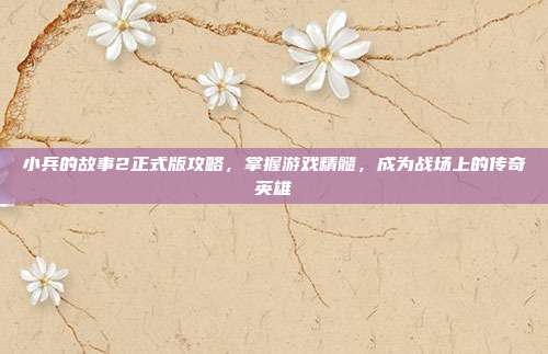小兵的故事2正式版攻略，掌握游戏精髓，成为战场上的传奇英雄