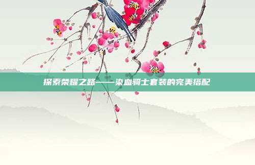 探索荣耀之路——染血骑士套装的完美搭配