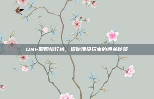 DNF刷图排行榜，揭秘顶级玩家的通关秘籍