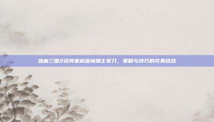 热血三国2名将坐标查询瑞士军刀，策略与技巧的完美结合
