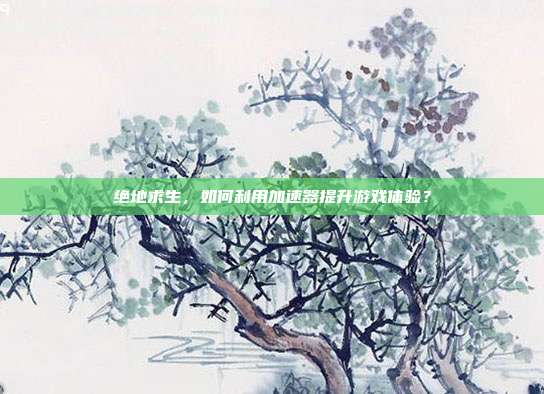 绝地求生,如何利用加速器提升游戏体验?