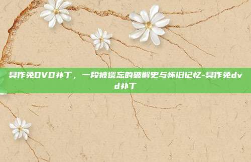 臭作免DVD补丁，一段被遗忘的破解史与怀旧记忆-臭作免dvd补丁