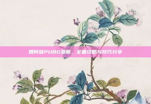 如何登PUBG亚服，全面攻略与技巧分享