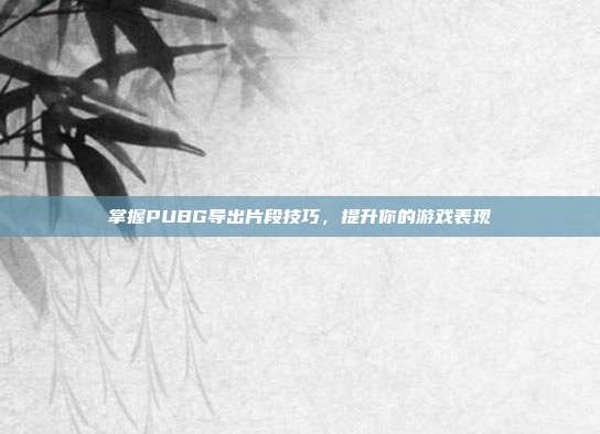 掌握PUBG导出片段技巧，提升你的游戏表现