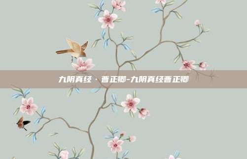九阴真经·曹正卿-九阴真经曹正卿