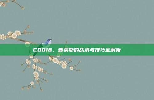 COD16，普莱斯的战术与技巧全解析