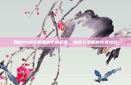 揭秘PUBG职业选手的日常，训练与策略的完美结合