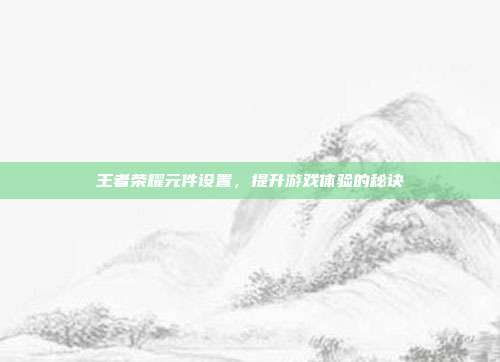 王者荣耀元件设置，提升游戏体验的秘诀