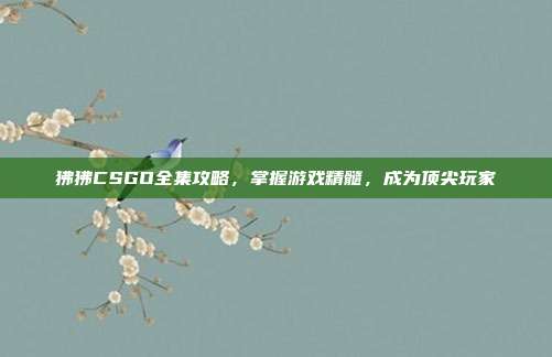 狒狒CSGO全集攻略，掌握游戏精髓，成为顶尖玩家