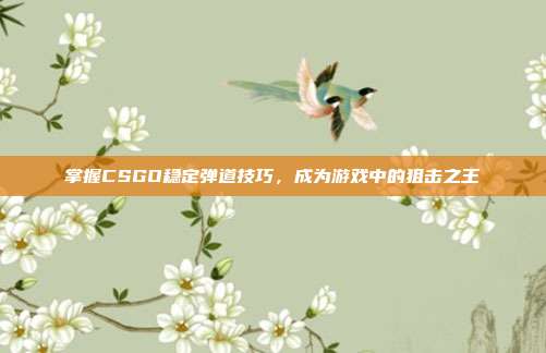 掌握CSGO稳定弹道技巧，成为游戏中的狙击之王