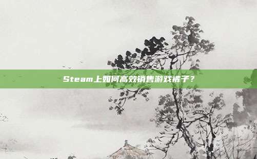 Steam上如何高效销售游戏裤子？