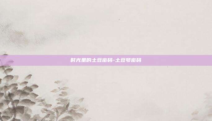 时光里的土豆密码-土豆号密码