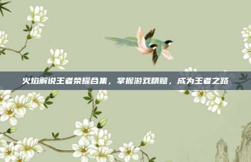 火焰解说王者荣耀合集，掌握游戏精髓，成为王者之路